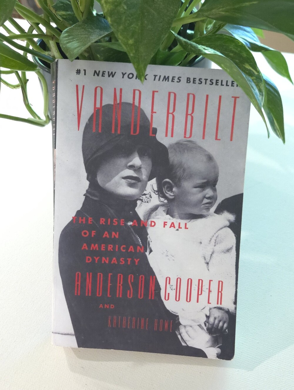 📚 Vanderbilt: The Rise and Fall of an American Dynasty